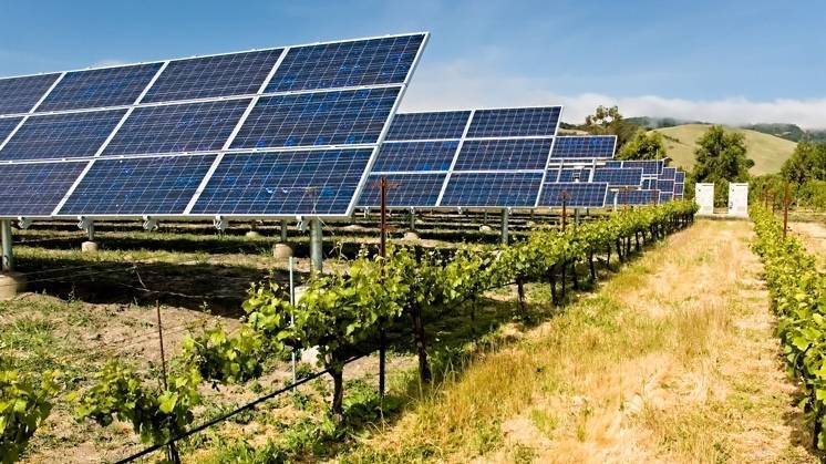 agrivoltaica-agricultura-energia|Agrivoltaica-energia-agricultura|Charlas-17-2_C